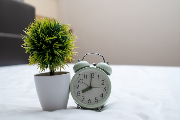 Vintage wekker en kleine boom op het bed