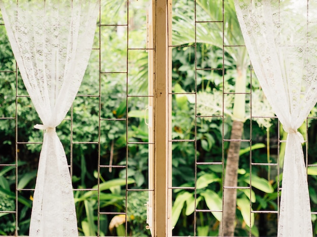 Vintage white curtains on soft light window.