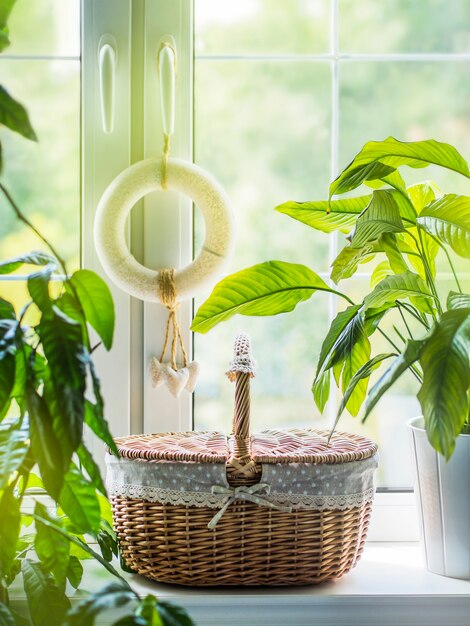 Vintage wicker basket for picnic on window sill with green plants