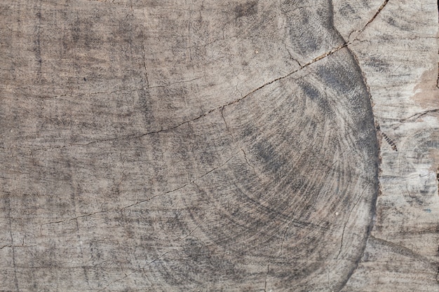 Photo vintage wood texture