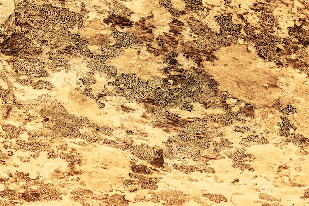 Sfondo giallo vintage. parete ruvida dipinta di color oro aspen. piano imperfetto di colore dorato. sfondo sfumato decorativo vecchio irregolare di tinta gialla. texture di tonalità oro. superficie pietrosa ornamentale