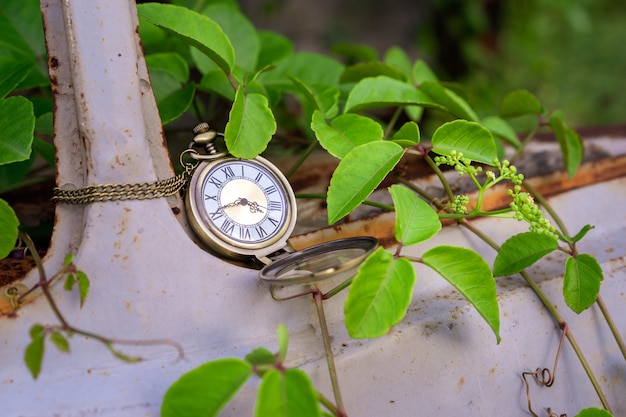 Vintage zakhorloge op oude auto en wijnstok