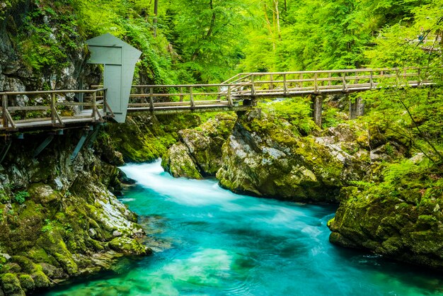 Vintgar Gorge Canyon in Slovenië bij het meer van Bled Wild Nature in Europa