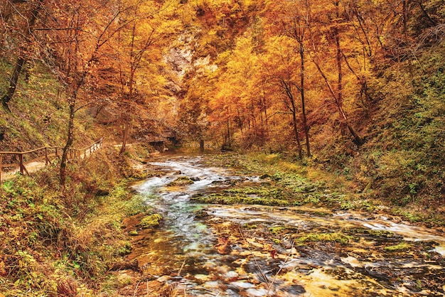 Vintgar gorge Slovenia