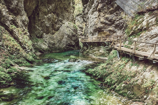 Vintgar gorge Slovenia