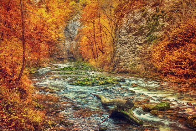 Vintgar gorge Slovenia