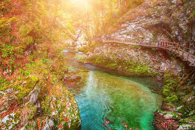 Vintgar gorge Slovenia