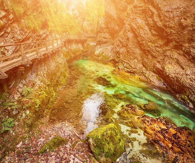 Vintgar gorge Slovenia