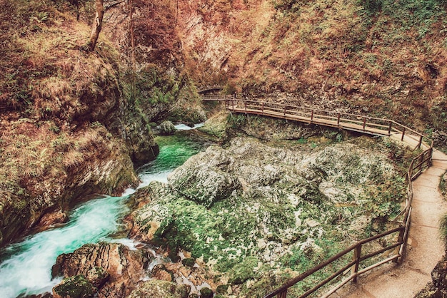 Vintgar gorge Slovenia