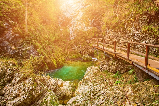 Vintgar gorge Slovenia