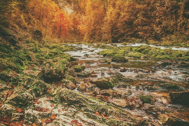 Vintgar gorge Slovenia