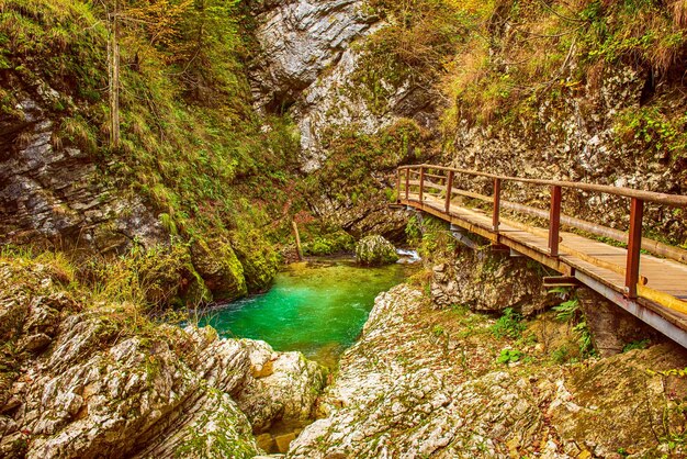 Vintgar gorge Slovenia