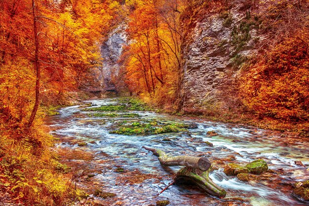 Vintgar gorge, Slovenia