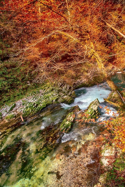 Vintgar gorge Slovenia