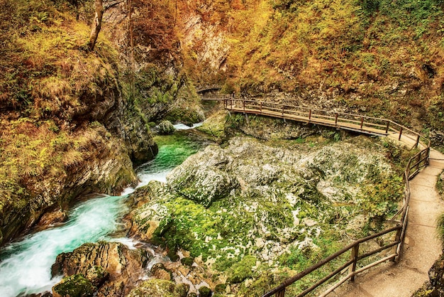 Foto vintgar-kloof slovenië