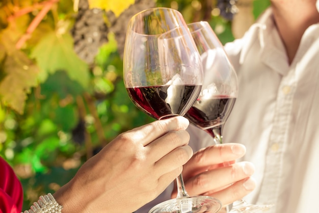 Vintner couple clinking wine glasses in vineyard