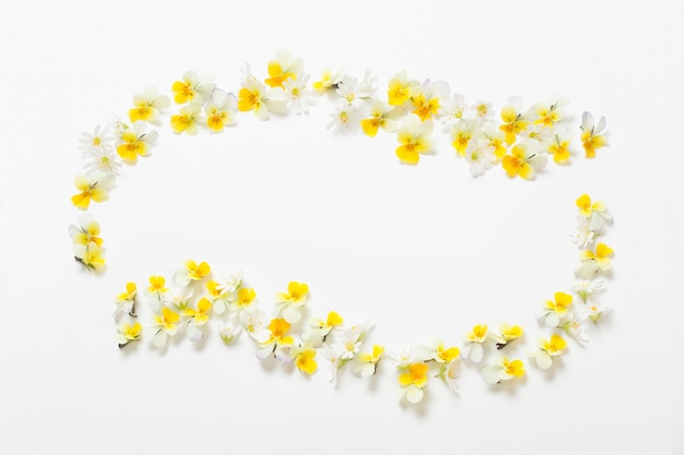 Viola flowers