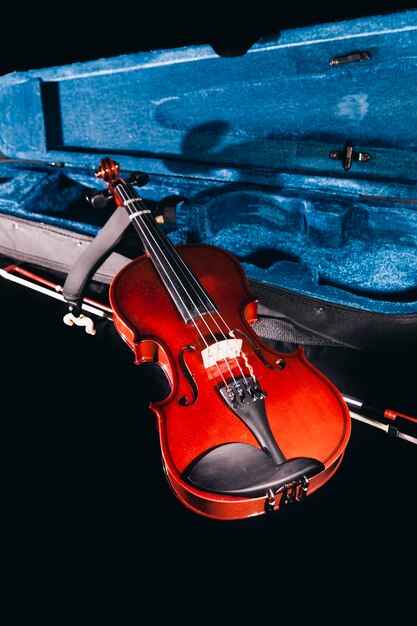 Photo viola resting on its case with the bow