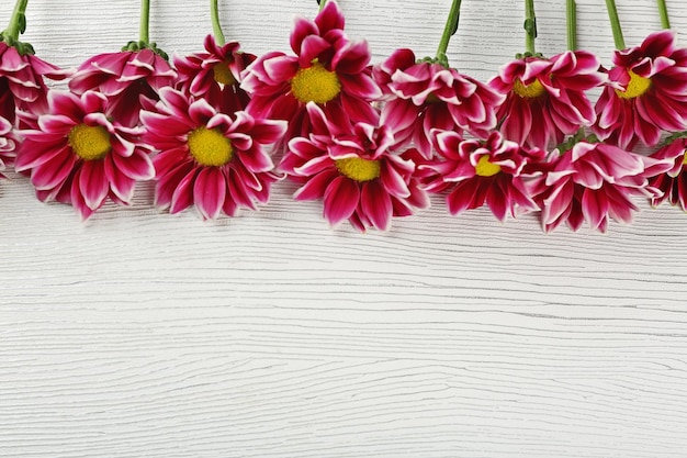 Violet chrysanthemum on wooden table