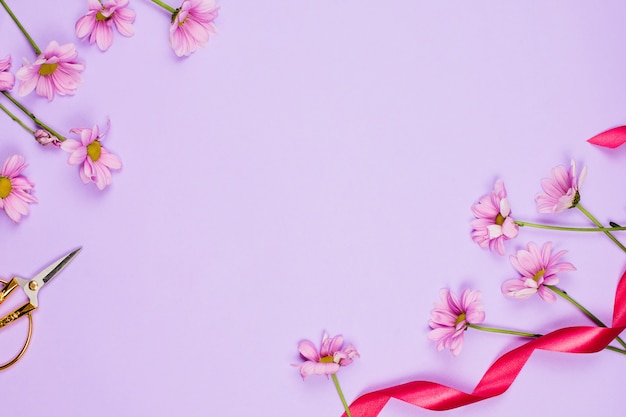 violet daises, scissors and ribbon on purple table