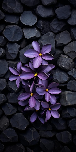 지속 가능한 디자인으로 검은 돌 벽 테이블탑 사진에 보라색 꽃 패턴
