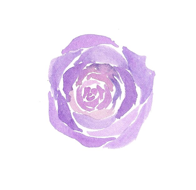 Photo violet flower watercolor illustration