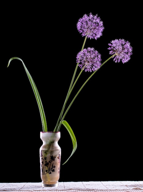 Цветы фиолетового чеснока в вазе на черном фоне