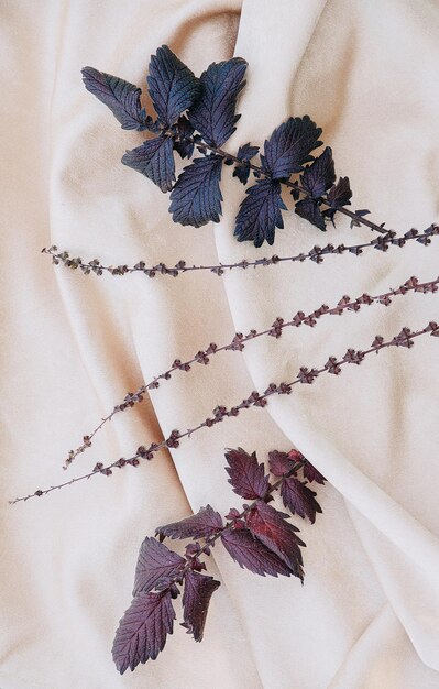 シルク生地の背景に紫の葉。美的ミニマリストの壁紙。秋の花の植物の構成