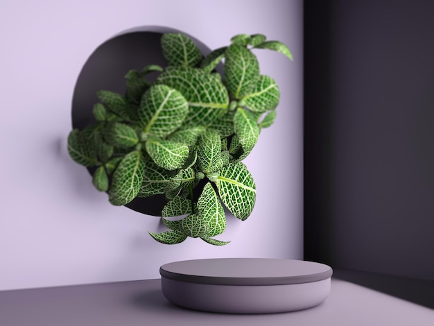 Violet lege mock-up ruimte met meerdere platforms en groene bladdecoratie 3D-rendering