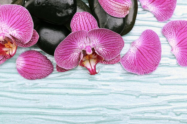 Violet orchid and zen stones closeup