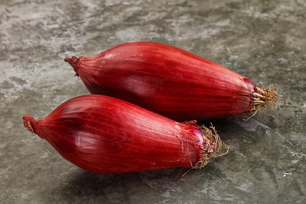 Violet raw onion for cooking