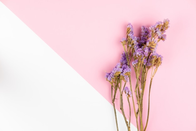 Photo violet statice flower on light pink and white table