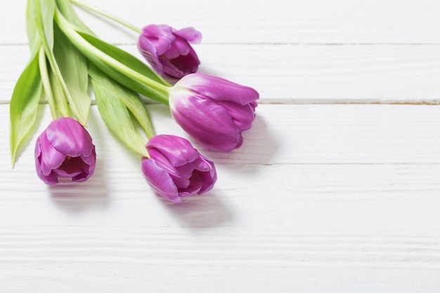 Violet  tulips on white wooden table