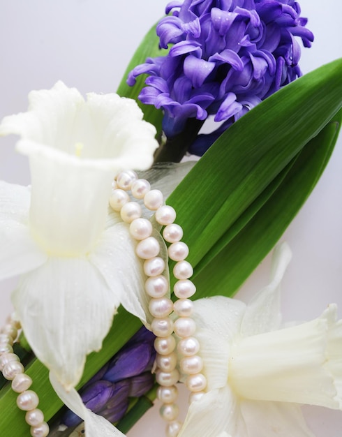 Violet and white flowers