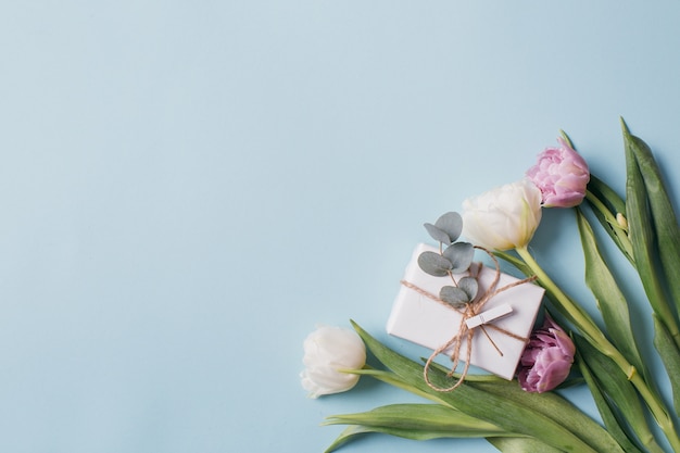  Violet and white tulips and a gift boxes on a blue background. 