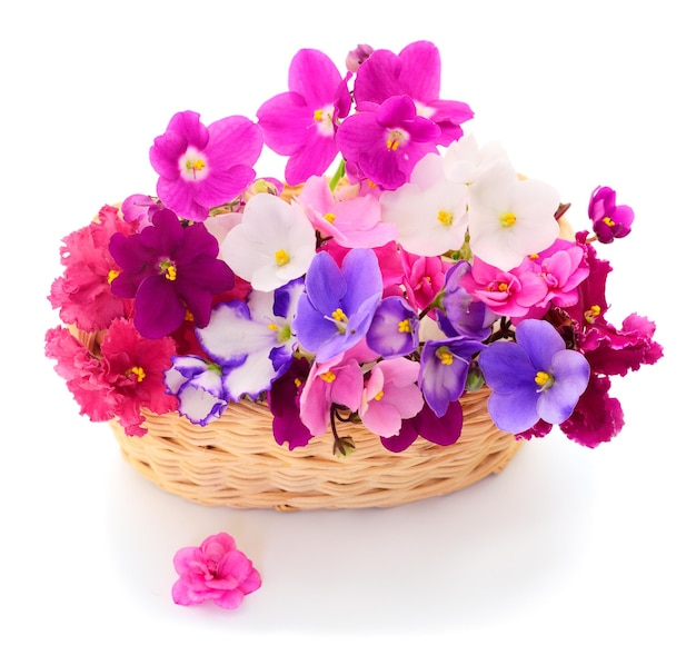 Фиалки красивые цветы в корзине
