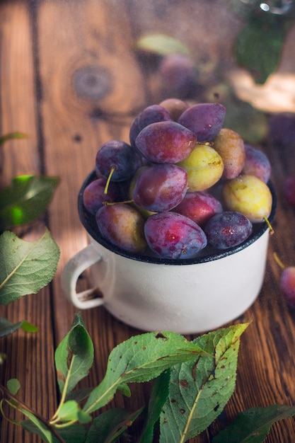 Violette en groene pruimen in witte metalen beker met groen blad en waterdruppels op de bruine houten achtergrond. Zomer fruit oogst.