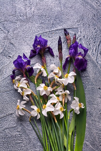 Violette irissen en witte narcissen op grijze achtergrond.