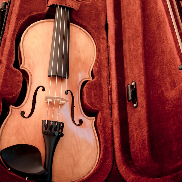 Photo violin and bow in dark red case.