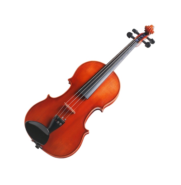 Photo violin front view