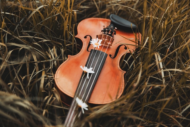 Violin lies on the grass in autumn. High quality photo