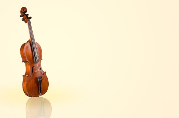 Photo violin on pastel background. classic body violin