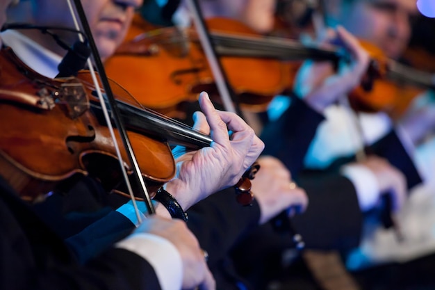 Violin players close up