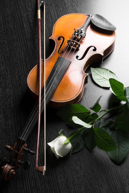 Violin and rose on black .