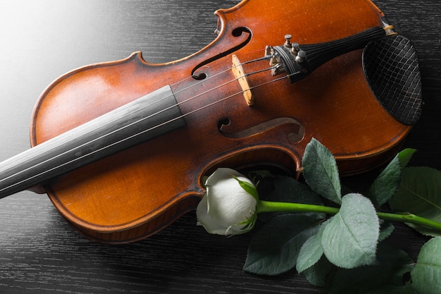 Violin and rose on black 