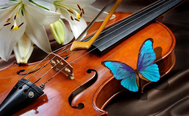 Photo a violin with a blue butterfly on the top and a butterfly on the top.