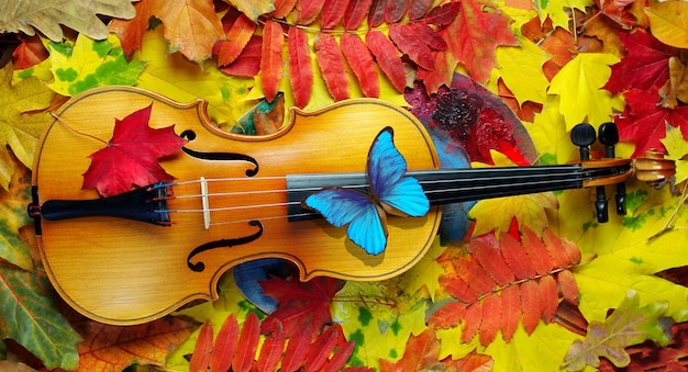 A violin with a butterfly on the back