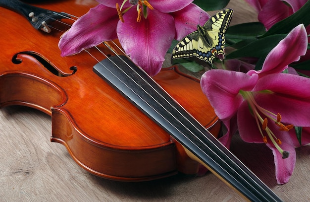 Foto un violino con una farfalla in cima