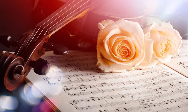 Photo violin with sheet music and white roses on black background