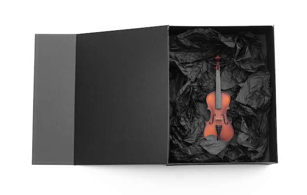 viool in zwarte doos geïsoleerd op witte achtergrond
